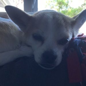 Meet your Posher, Cassandra